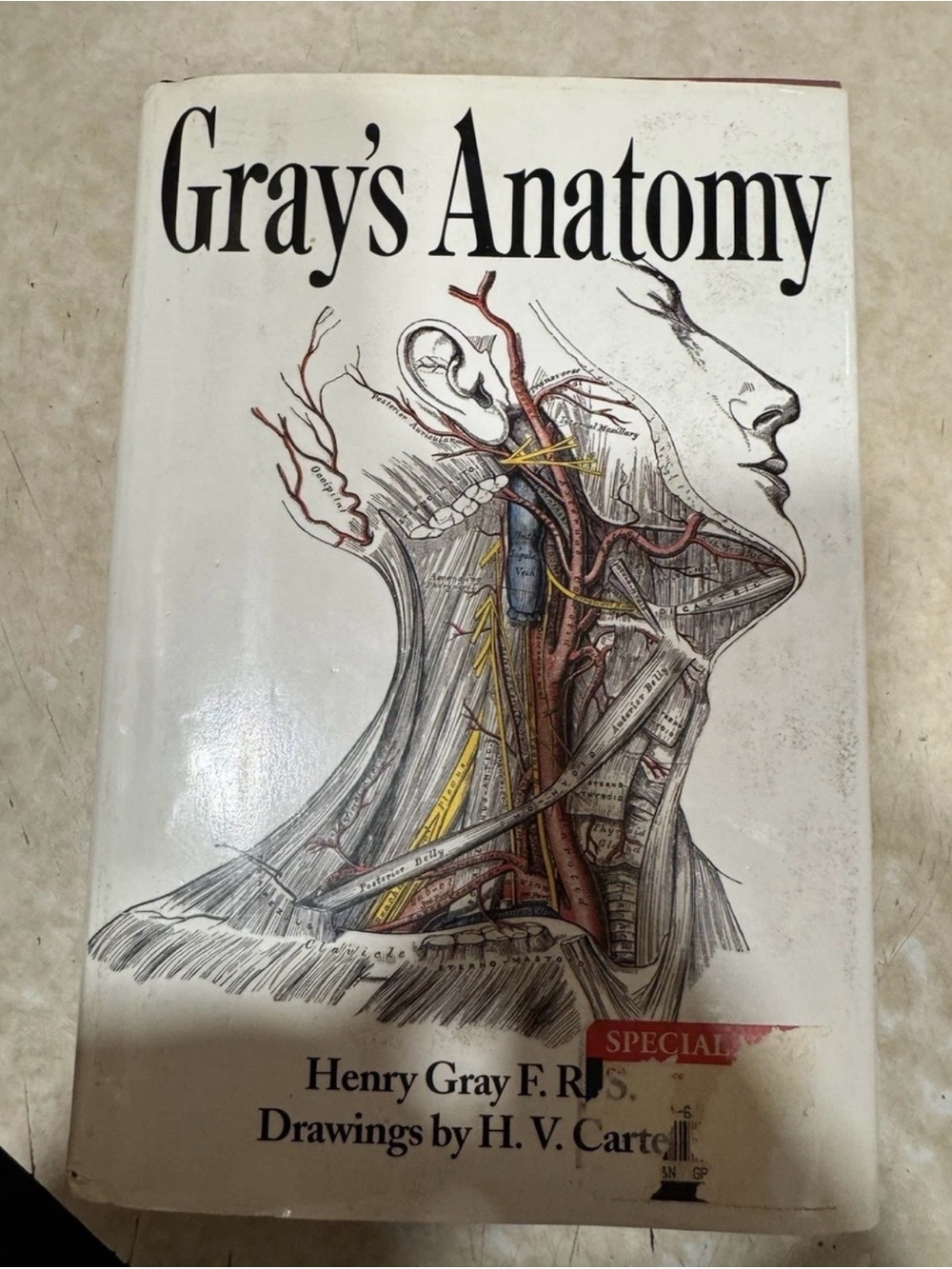 Gray's Anatomy Collector’s Edition by Henry Gray – Hardcover with Dust Jacket